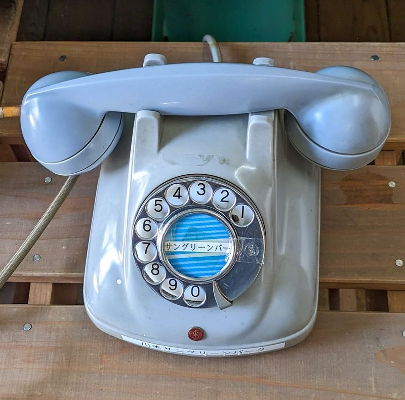 The dreaded phone call photo