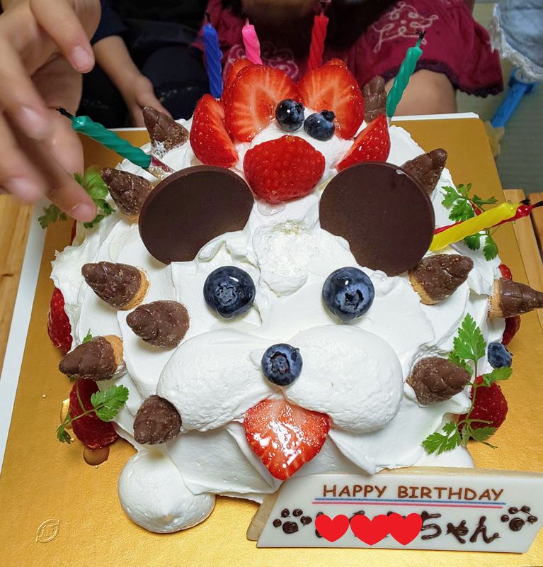 Limited Edition Hedgehog Short cake by Fujiya photo