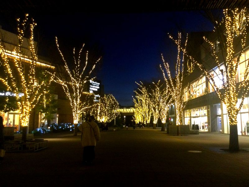 Nagareyama City's 2023 illuminations photo