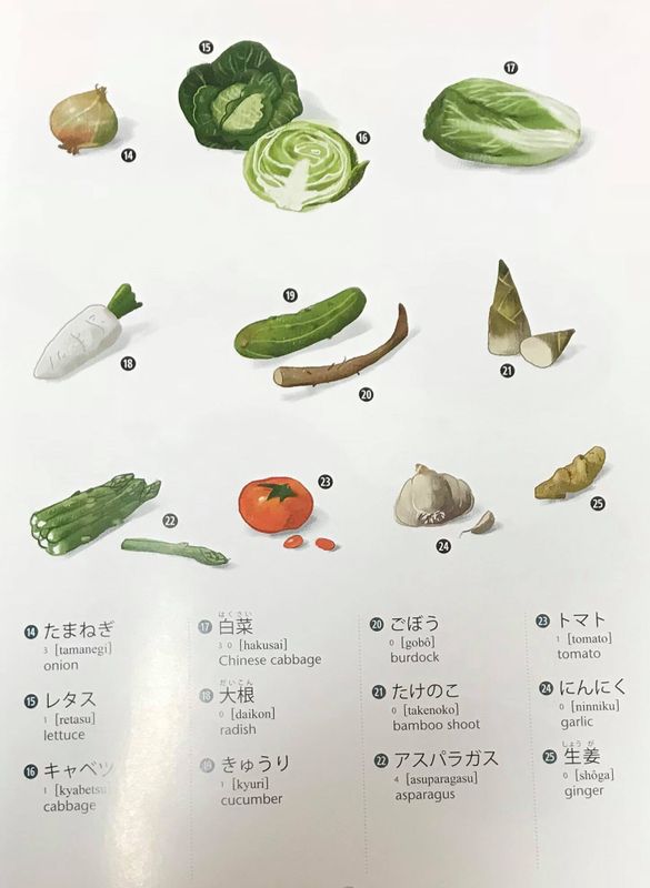 The “Japanese Illustrated Dictionary”  photo