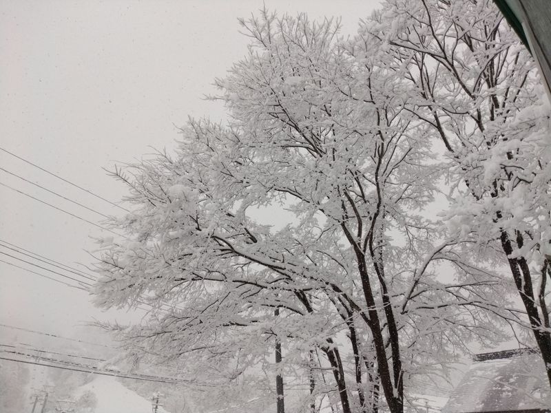 Things I'm grateful for during winter in Japan: heavy snow photo