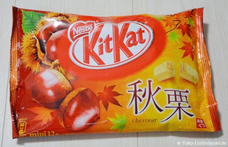 Autumn time with KitKat Aki Kuri photo