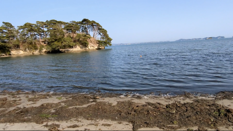 My Favorite Little Beach: Matsushima photo