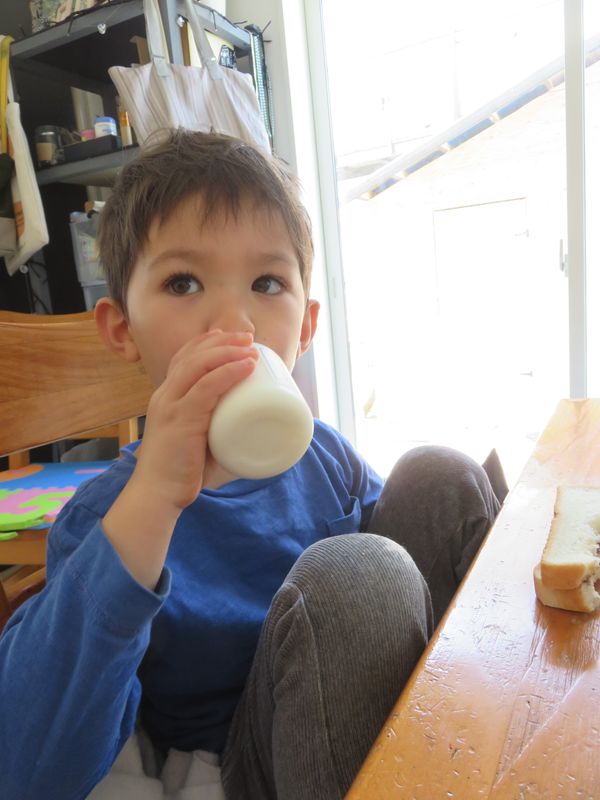 A box of Dairy from Daiwa Farm in Kobayashi City photo