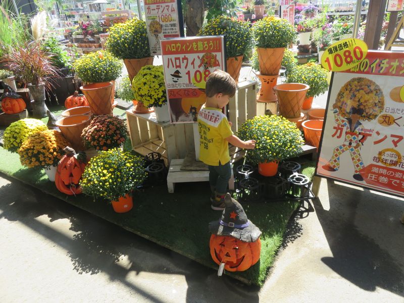 Celebrating Halloween in Japan photo