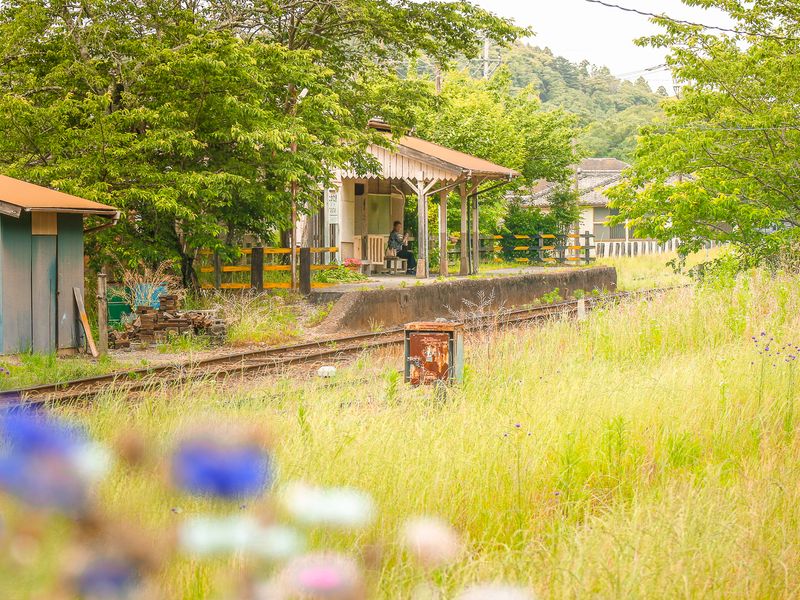 Images of Japan: May 2023 photo