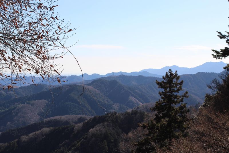 Mt Takao one of Kanto's designated Recreation Forests photo