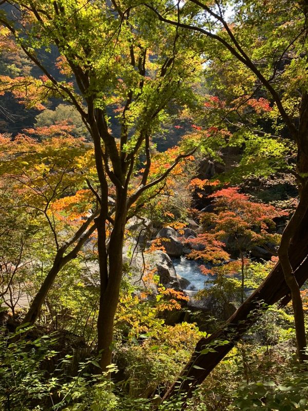 Shosenkyo is Gorge(ous) in Fall photo