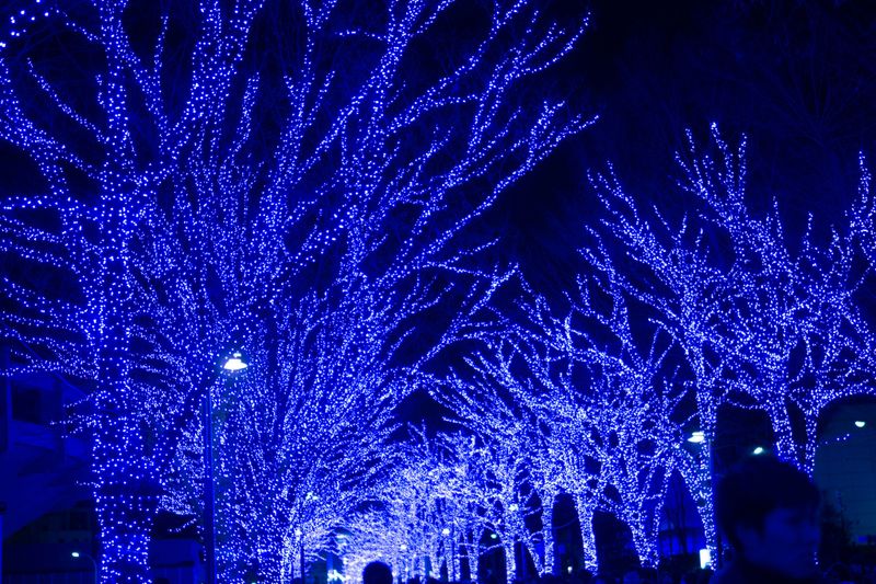 Iluminações de inverno no Japão 2017 - 2018: as classy! photo