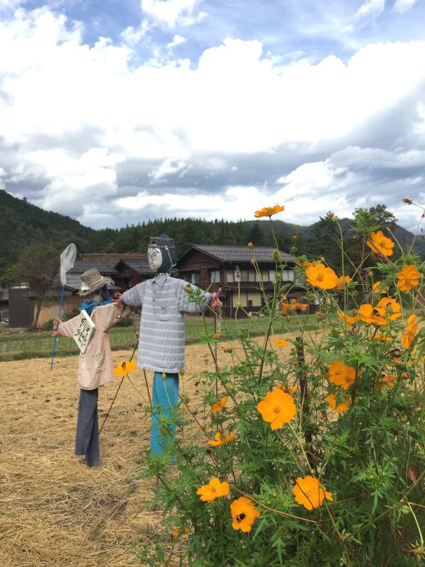 Early autumn at Shirakawago photo