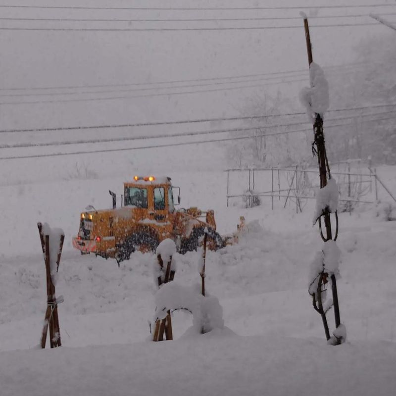 Things I'm grateful for during winter in Japan: snow ploughs photo