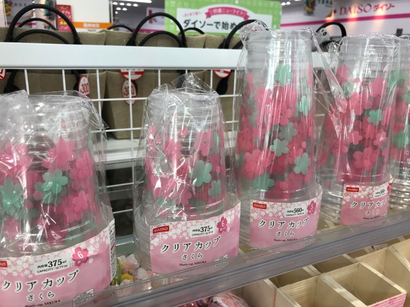 Hanami Picnic supplies at Daiso photo