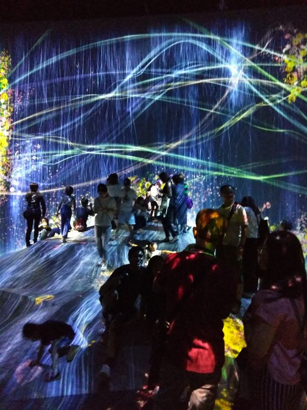 A Few Hours in TeamLAB Borderless (Odaiba) photo