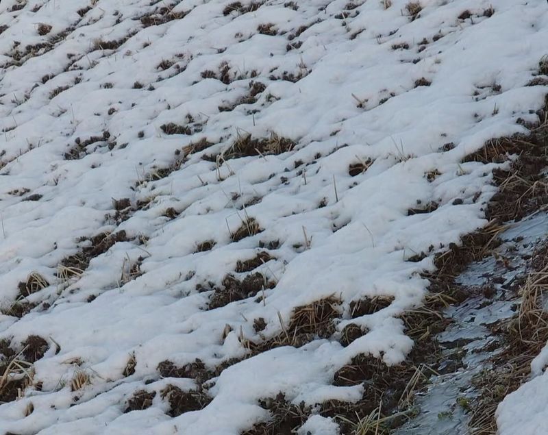 Feels like winter is in full effect, already photo