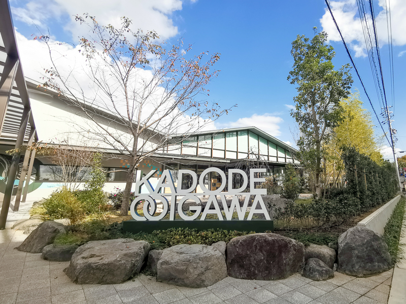 Asakoの「日々是静岡茶」vol.1「KADODE OOIGAWA」で出会う“お茶選びの面白さ”（前編）