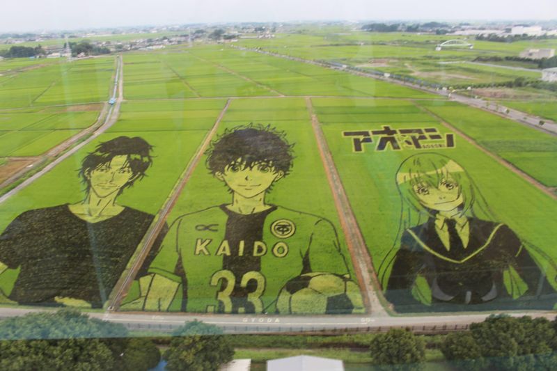 The 2022 Rice Paddy Art in Gyoda photo