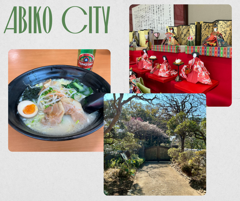 Abiko Winter Travelogue photo