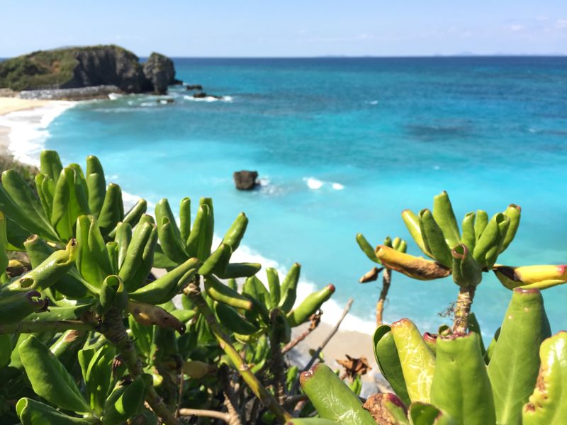 あなたのガールフレンドと沖縄の旅を過ごす5つの方法 photo