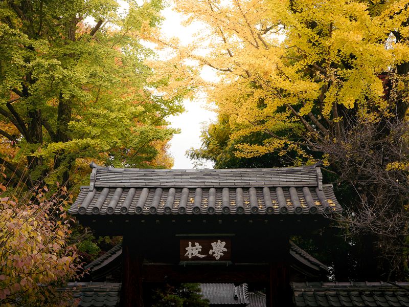 Images of Japan: November 2022 photo