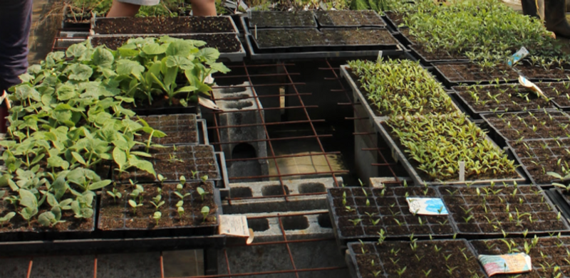 Honoring the back end of the food world photo