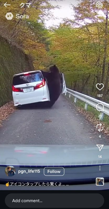 The challenge of AI in the current bear crisis photo