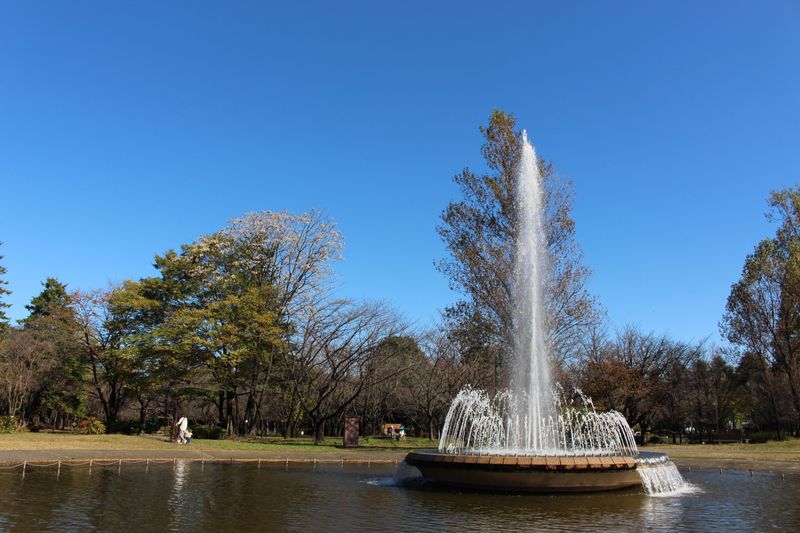Fountain Day commemorating Japan's First Western-style Fountain photo
