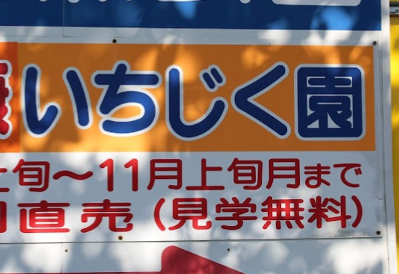 A day for figs, particularly Osaka figs photo