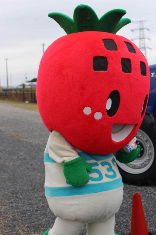 Strawberry mascots in Japan photo