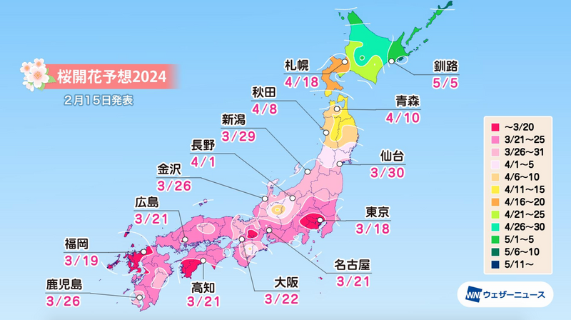 Cherry Blossom On Course For Early Arrival In 2024 Expected Earliest   Ad360d4c3e08eb788eb2aac8b70b47ad 