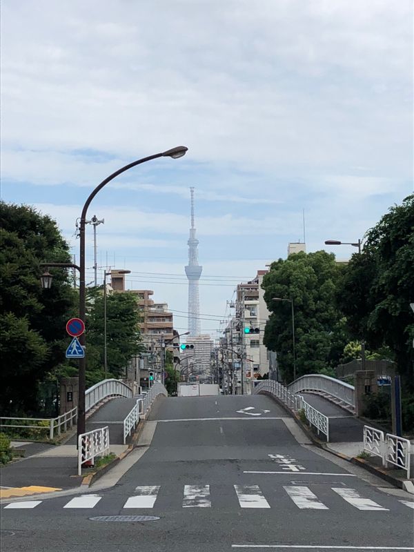Urayasu to Ginza on a mamachari photo