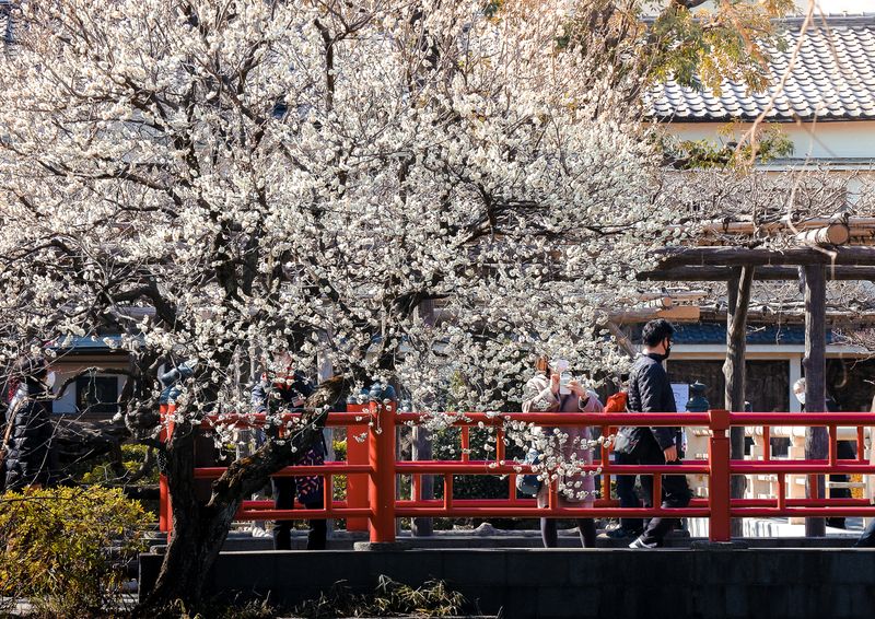 Images of Japan: February 2023 photo