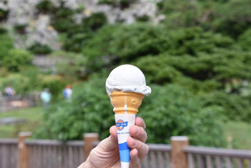 Ice cream in Okinawa: Traveling Okinawa Island fuelled by ice cream photo