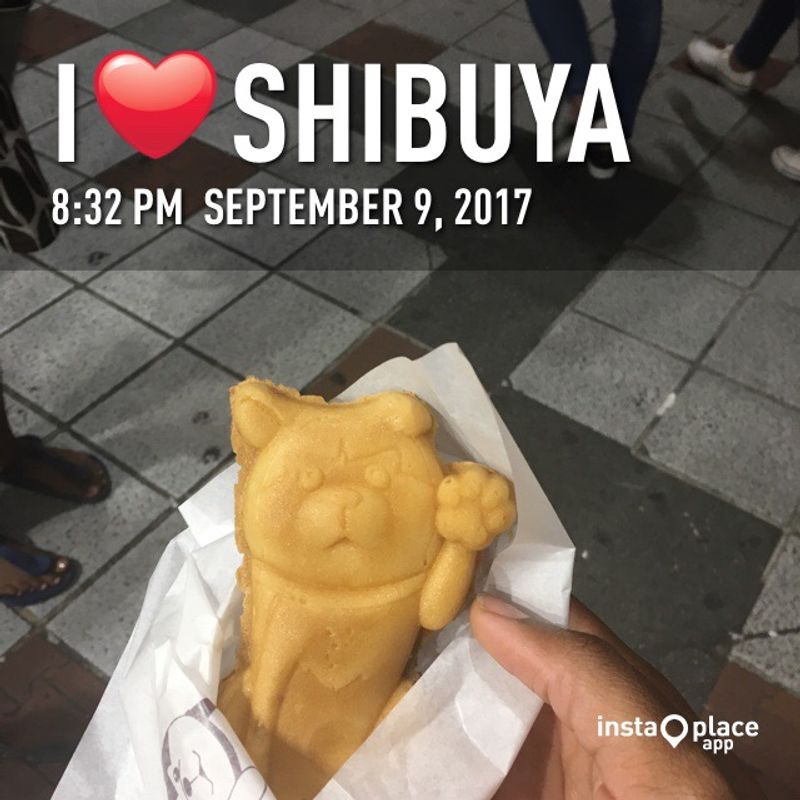Shibuya Crossing: Busy Fun! photo