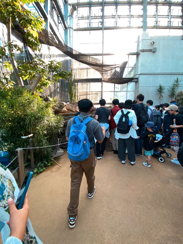 A Trip to Ueno Zoo: A Memorable Yet Eye-Opening Experience photo