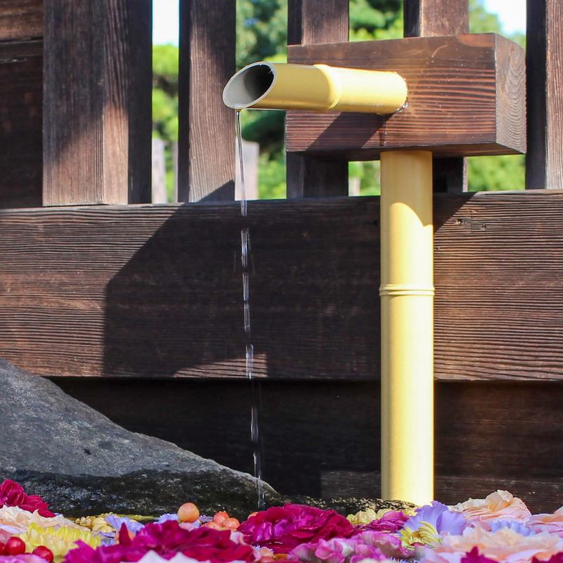 Adapting to the water change  photo