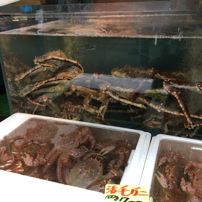 Tsukiji Nippon Fish Port Market  (築地にっぽん漁港市場) photo