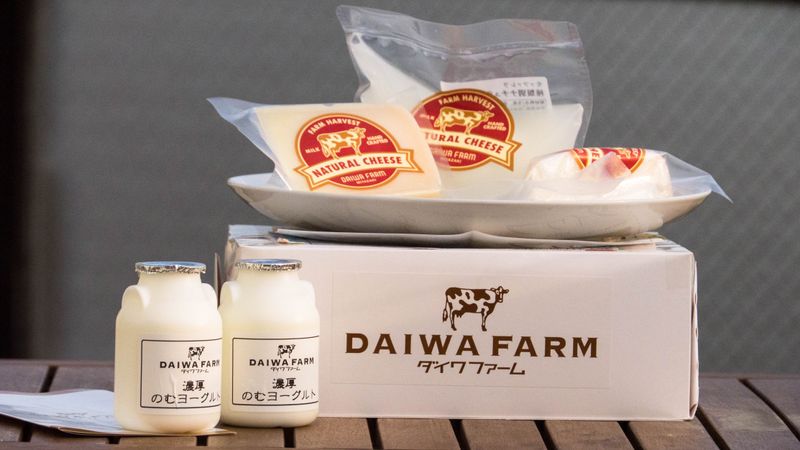 I dream of cheese (from Kobayashi City) photo