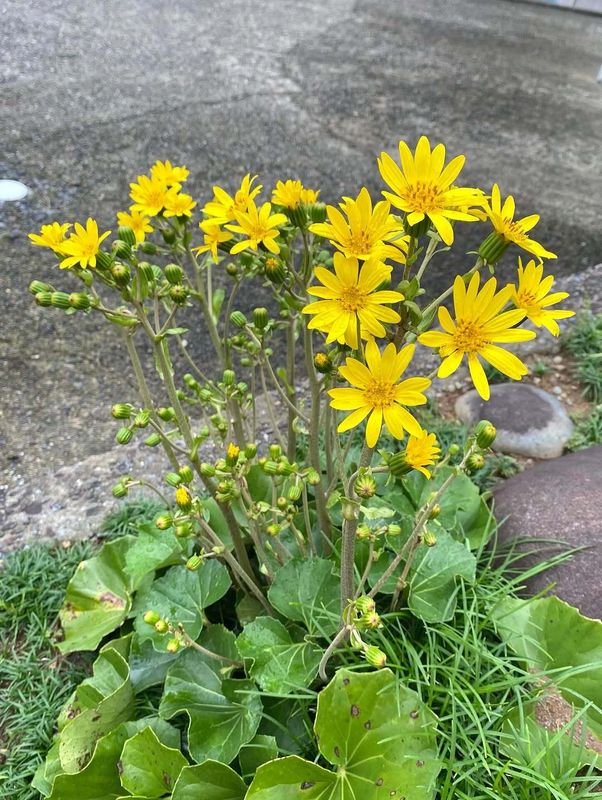 Happy to see more interactions on here! photo