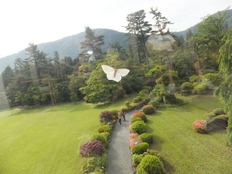 Honoring Japan's Natural Parks Day photo