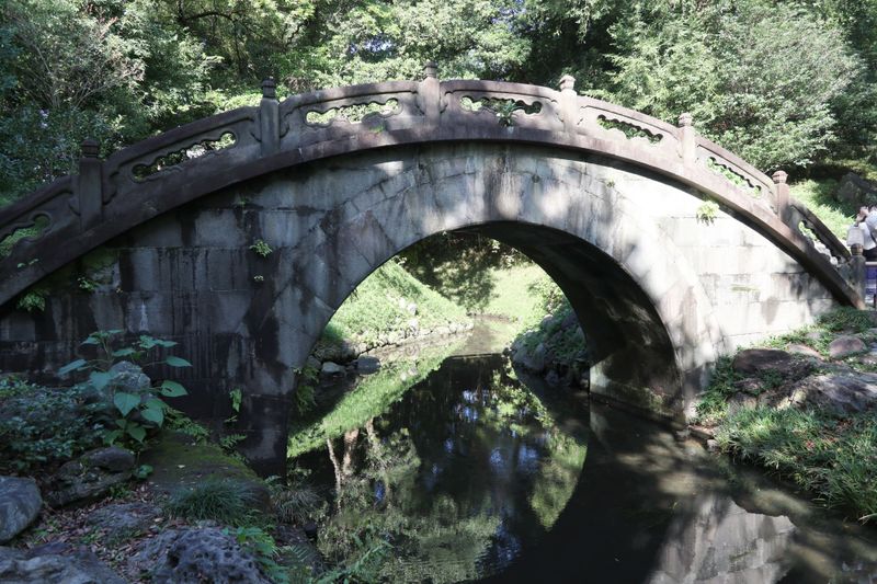 My three favorite autumn spots in Tokyo photo