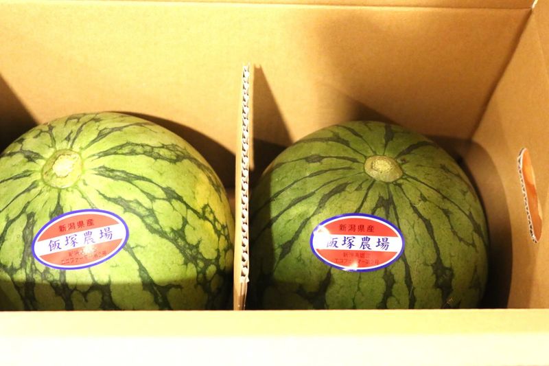 Summer = melon time photo