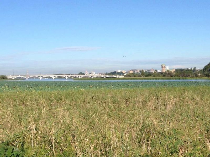 Explore Tokyo's neighbor the former Higashi Katsushika District photo