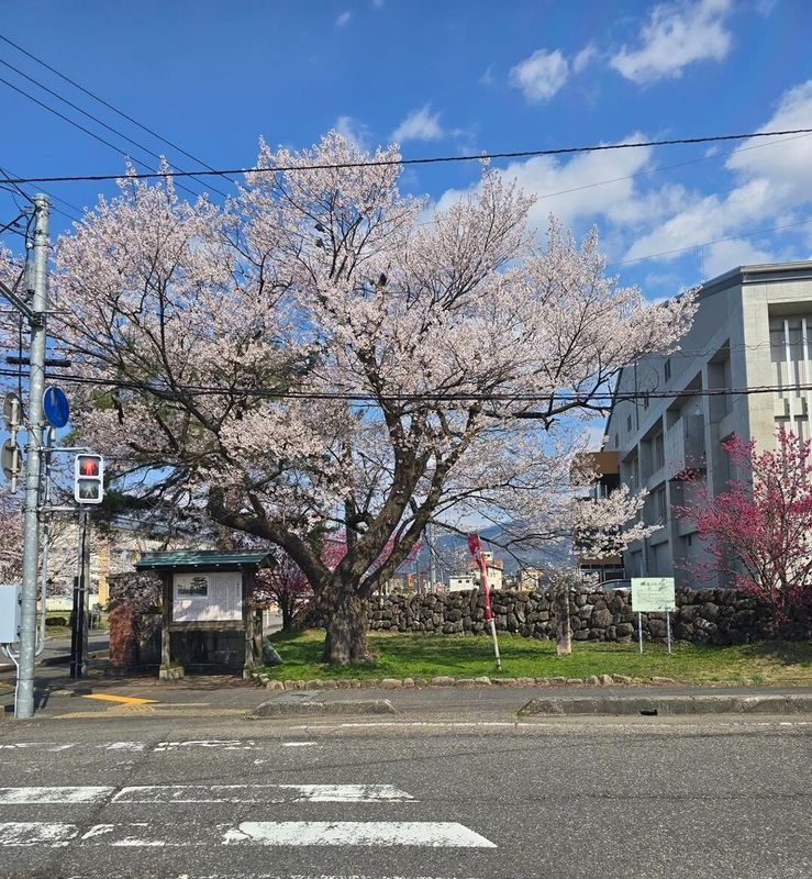 Planning to head home during GW? You won't be the only one... photo