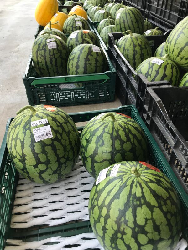 Ever had a “Summer Orange” Watermelon? photo
