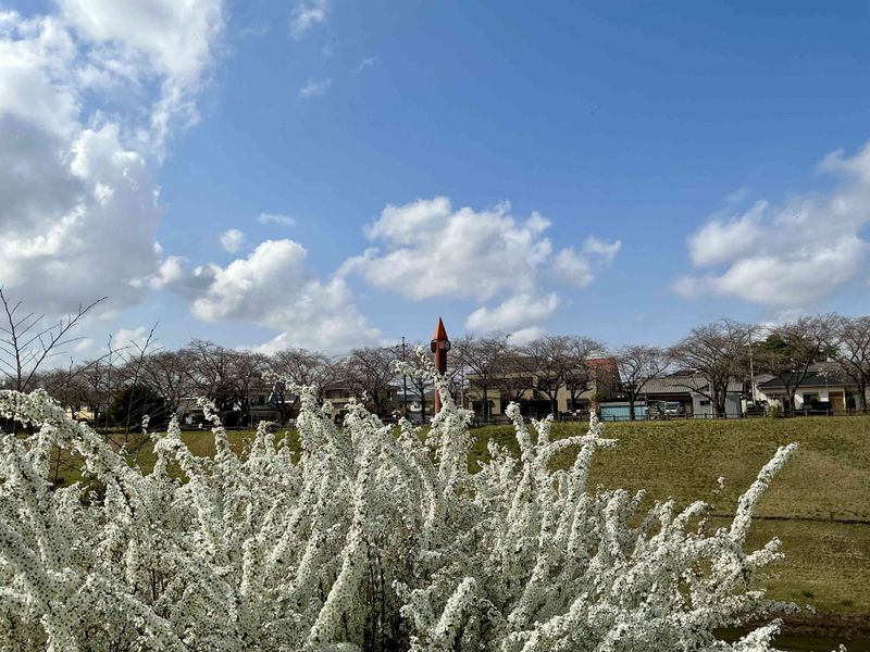 Unga Mizube Park lucky timing SPOT REPORT photo