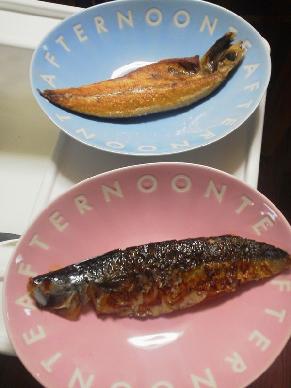 A day for fish after meat day photo