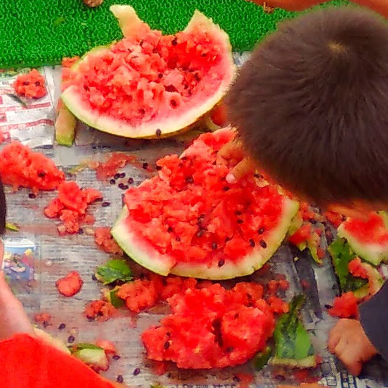 The summer 'must do' list: smashing watermelons! photo