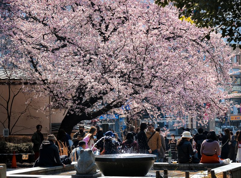 Images of Japan: March 2023 photo