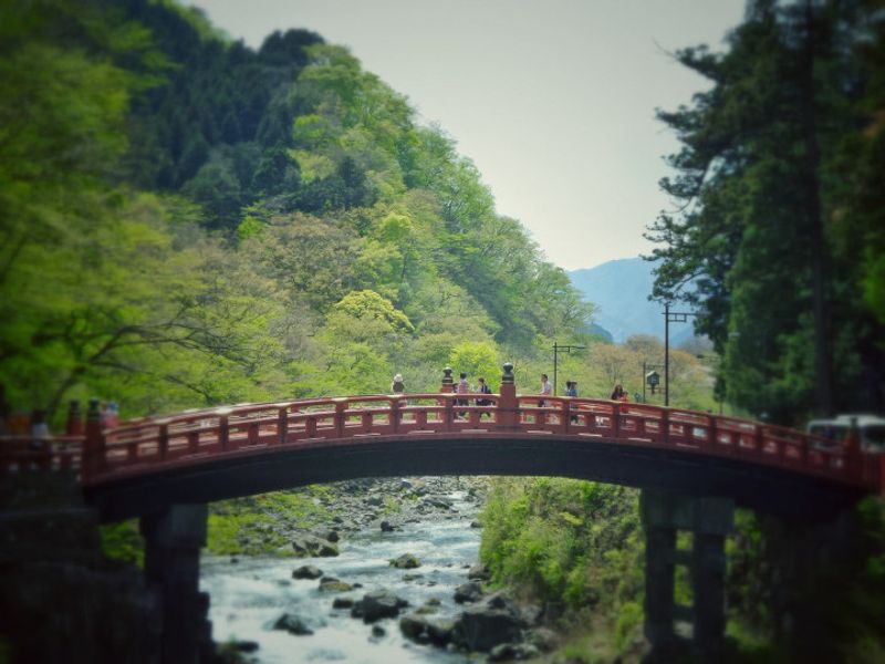 Tokyo to Nikko: The cost of getting there and around photo