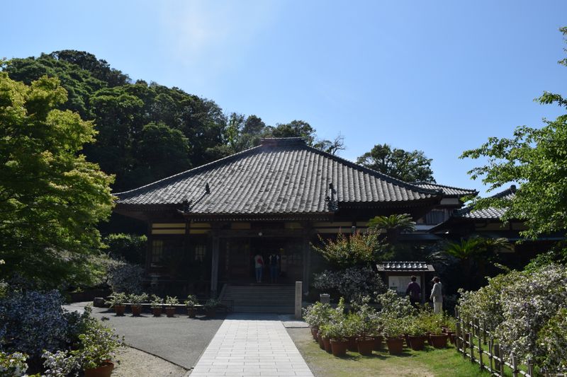 Top 5 Summer Spots in Shimoda, Japan photo